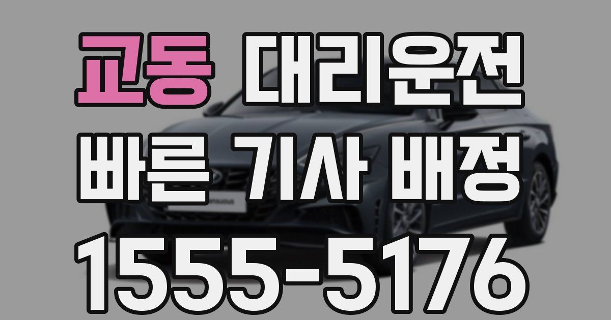 일일대리기사