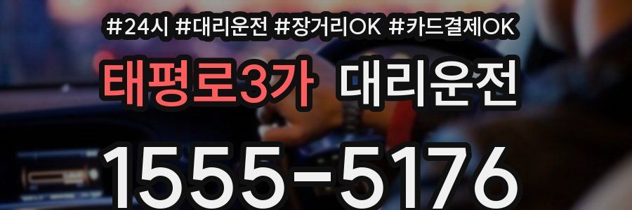 태평로3가 대리운전