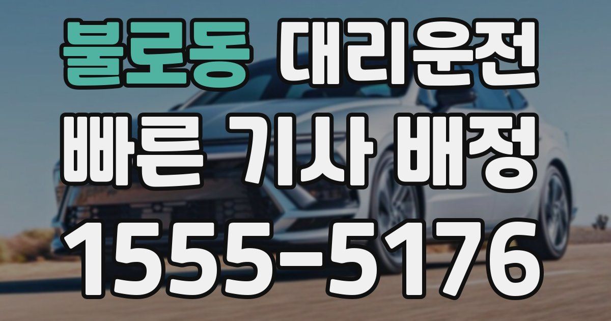 일일대리기사