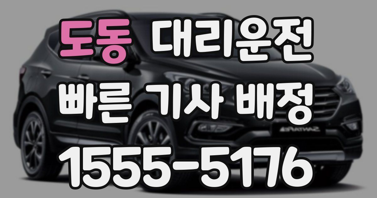 일일대리기사