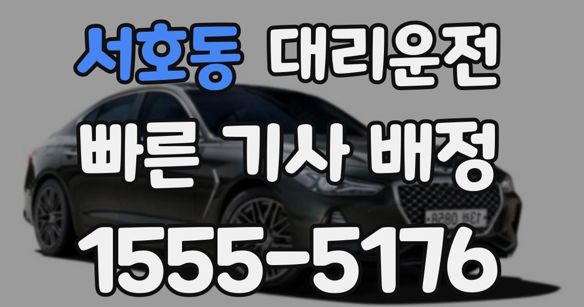 일일대리기사