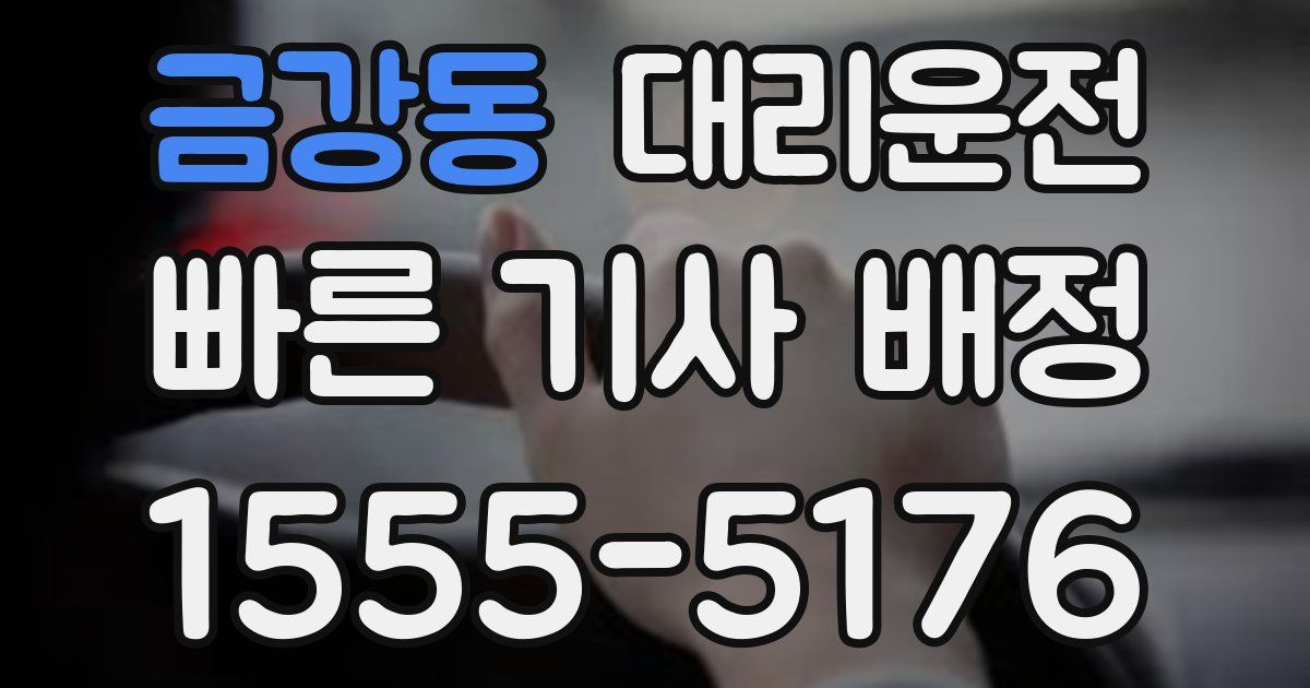 일일대리기사