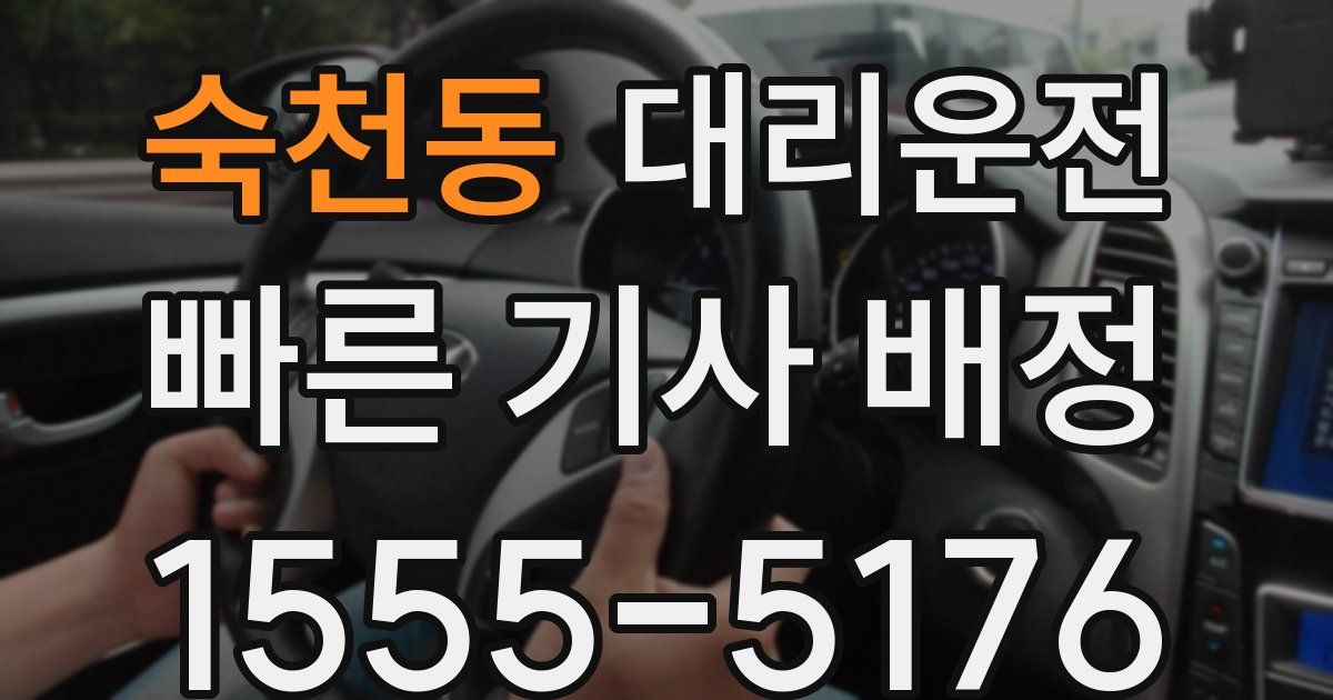 일일대리기사