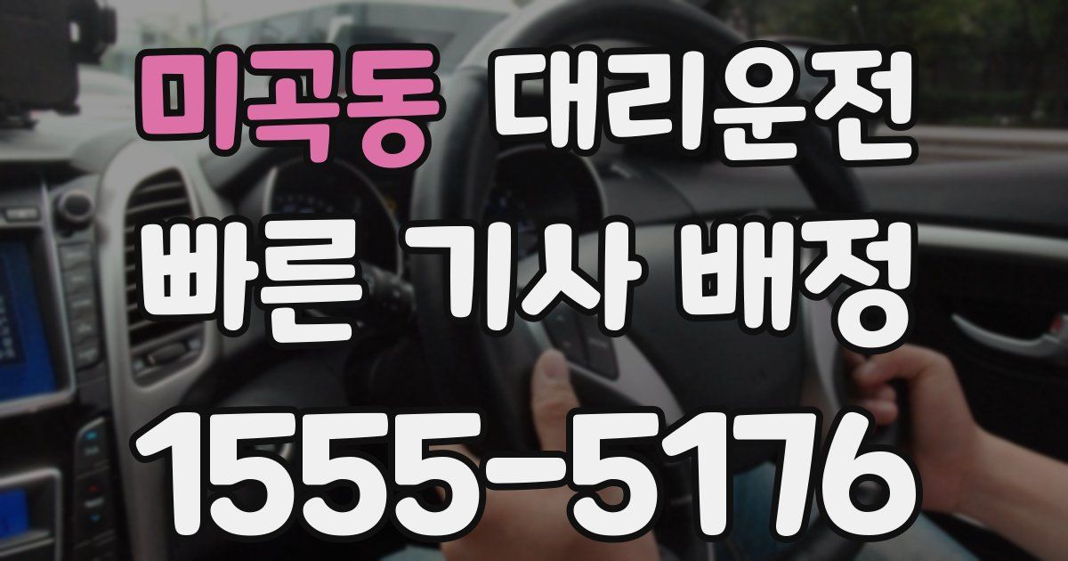 일일대리기사