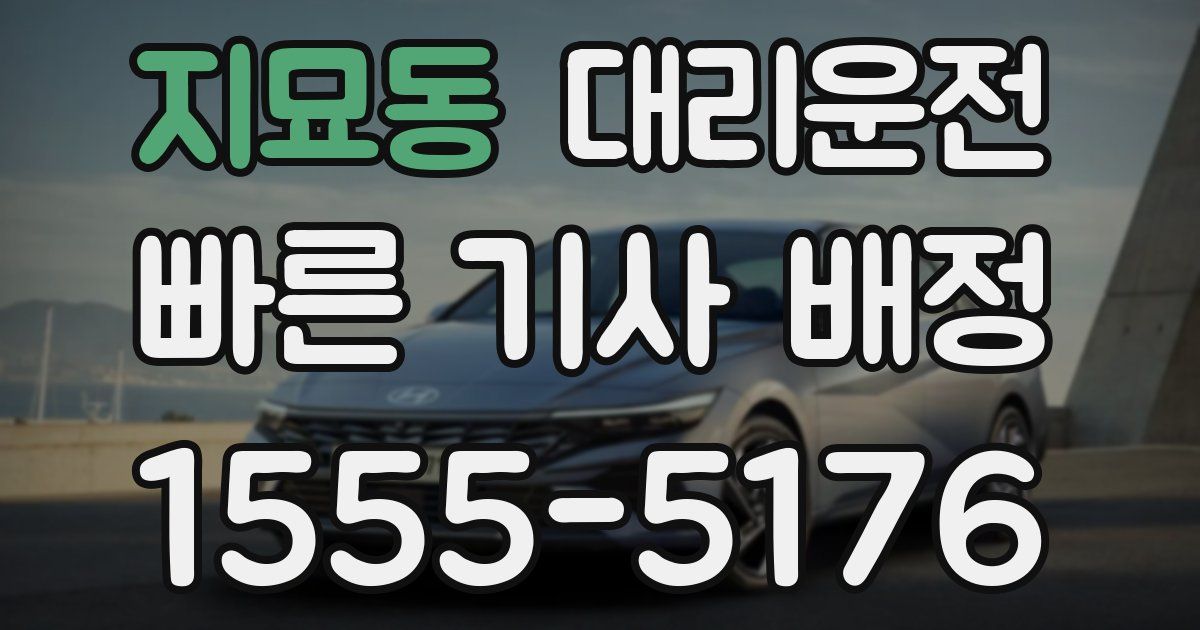 일일대리기사
