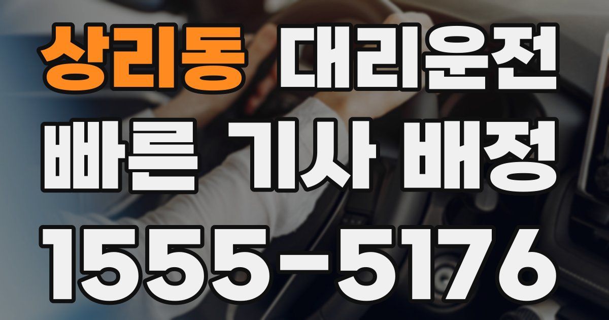 일일대리기사