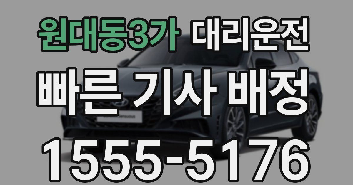 일일대리기사