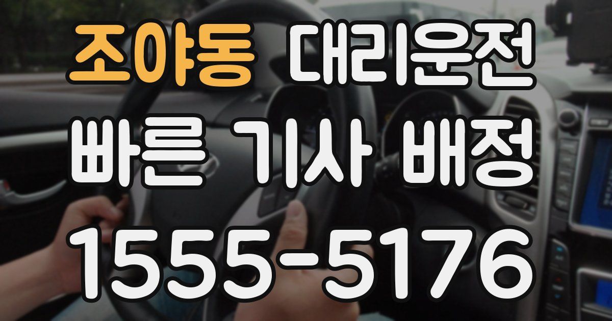 일일대리기사