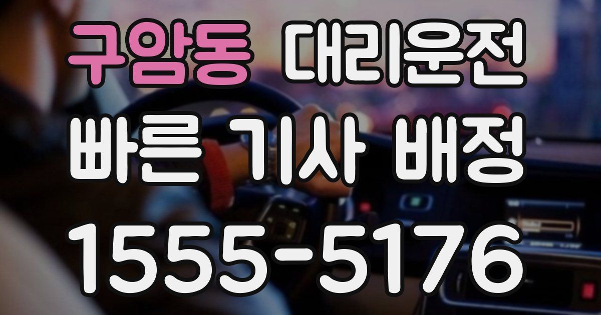 일일대리기사