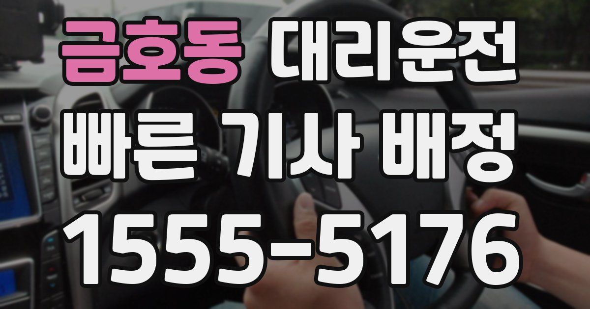 일일대리기사