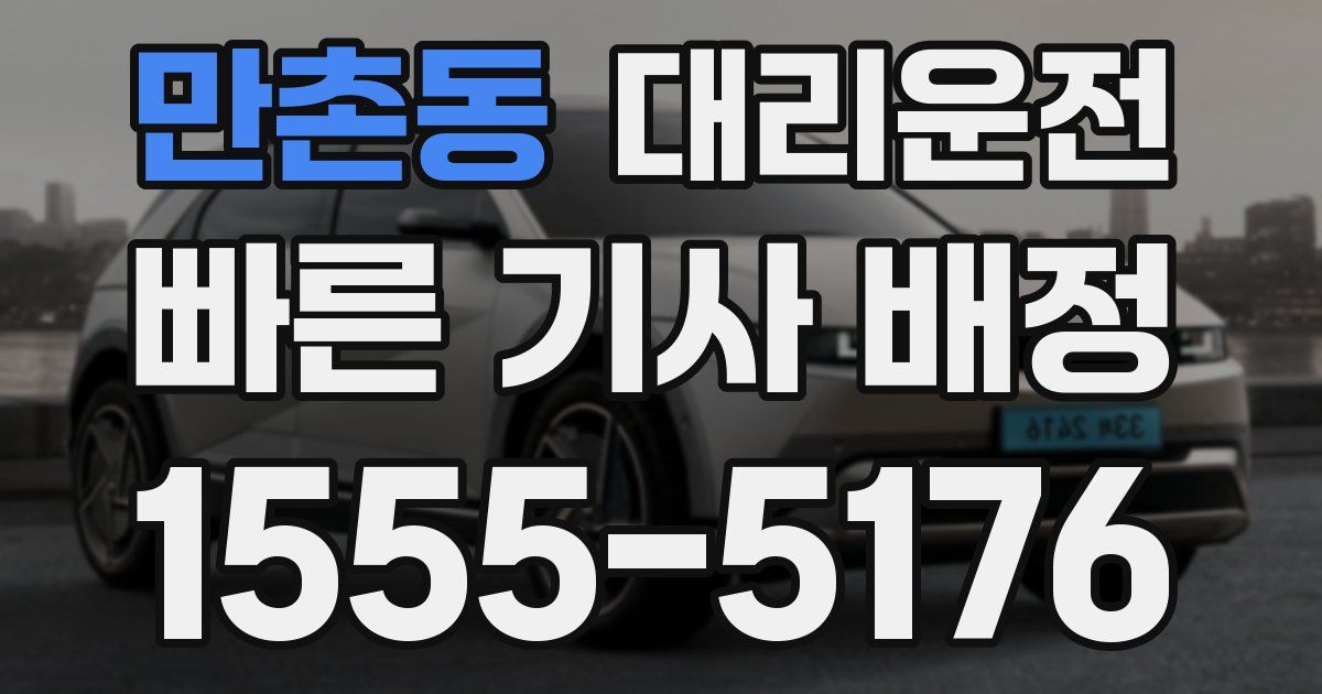 일일대리기사