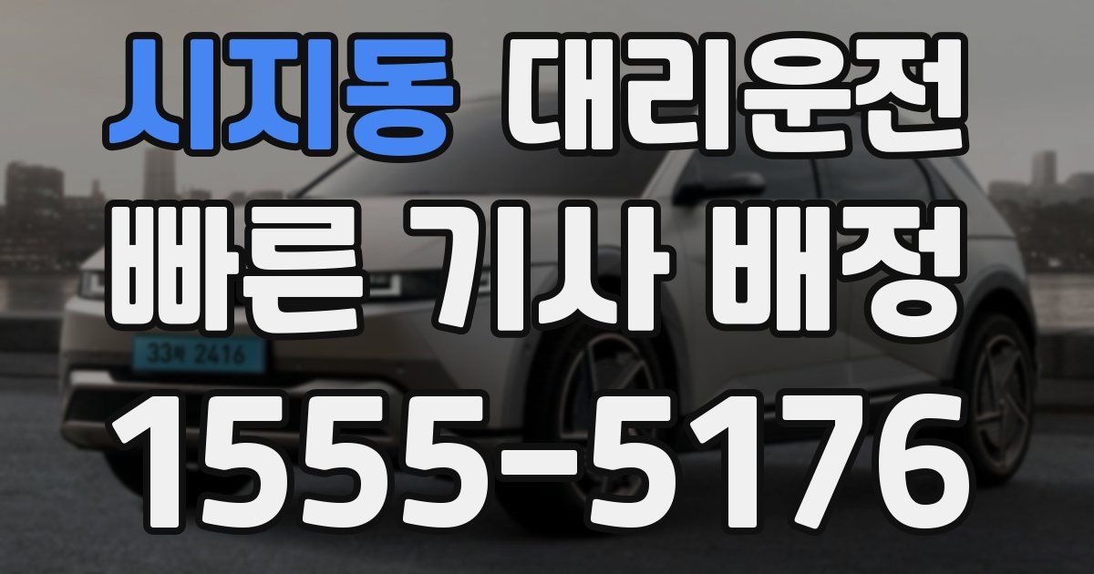 일일대리기사