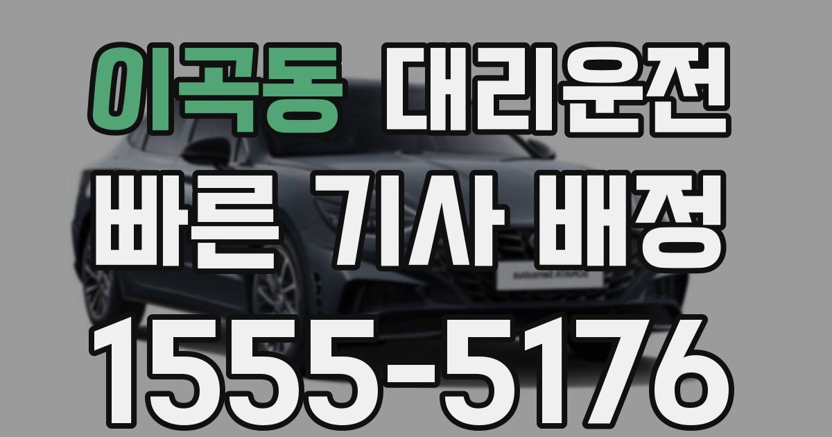 일일대리기사