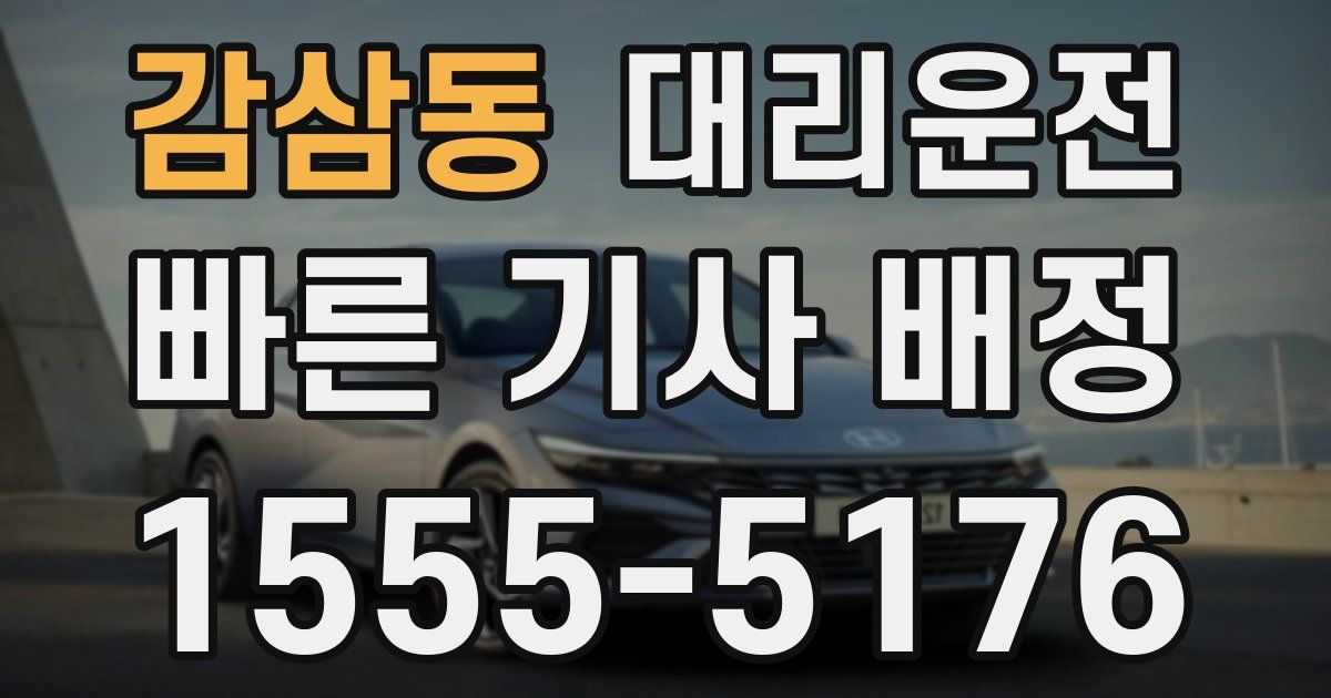 일일대리기사