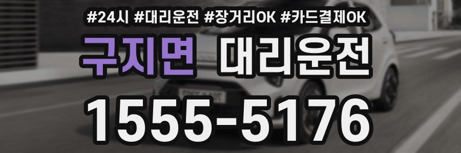 구지면 대리운전
