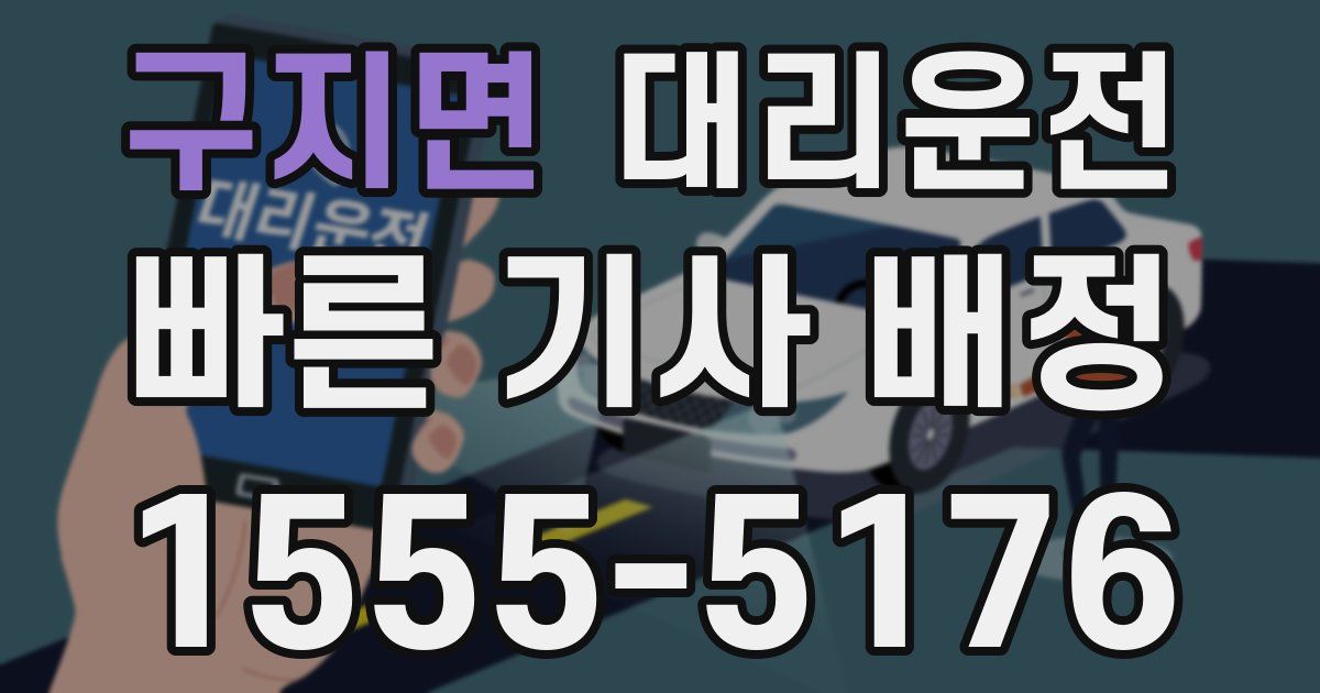 일일대리기사