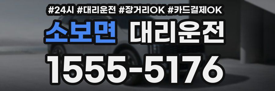 소보면 대리운전