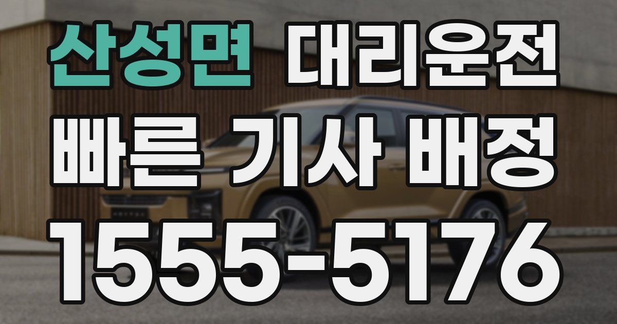 일일대리기사