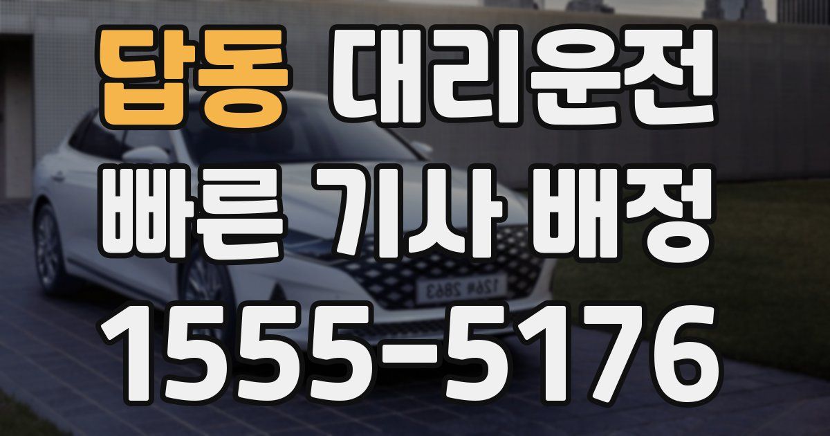 일일대리기사
