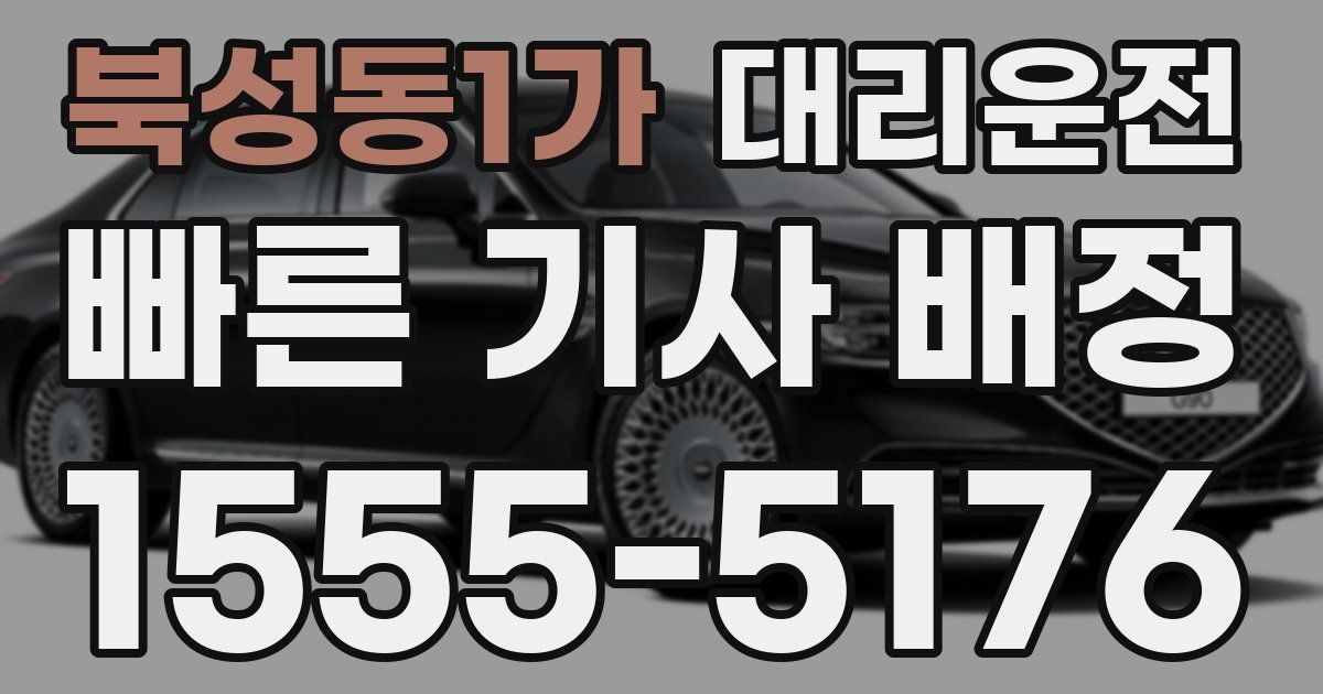 일일대리기사