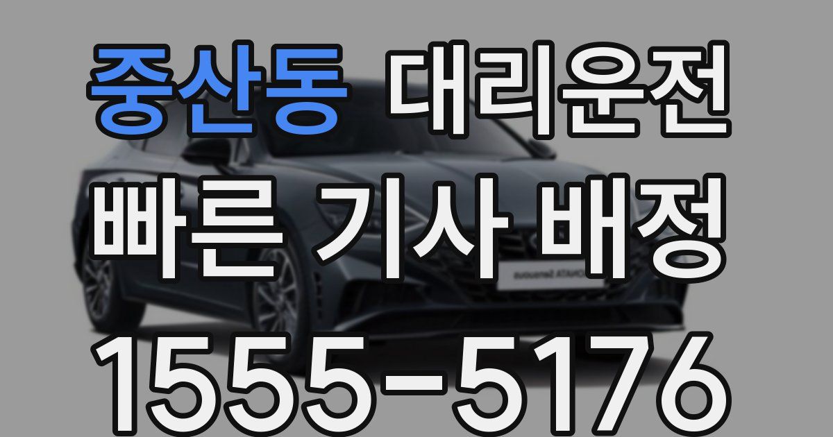 일일대리기사