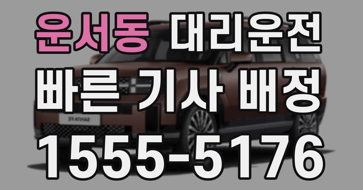 일일대리기사