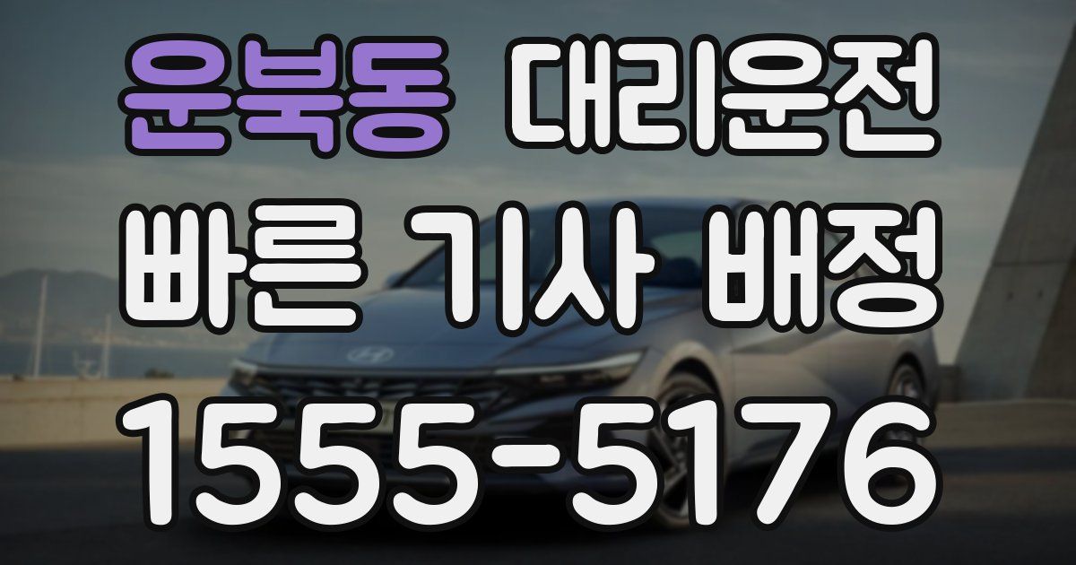 일일대리기사