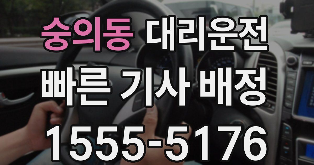 일일대리기사