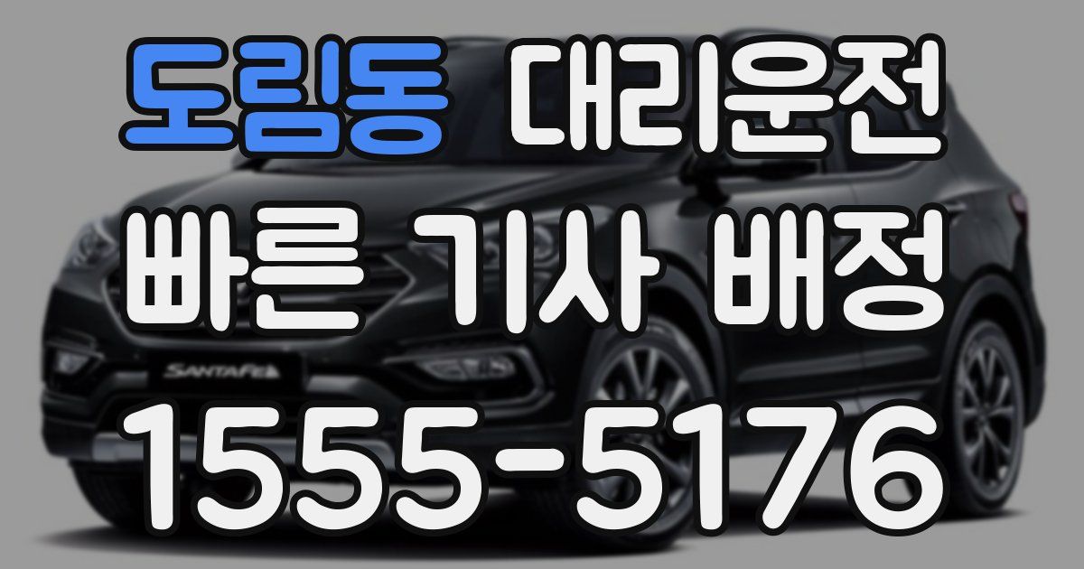 일일대리기사