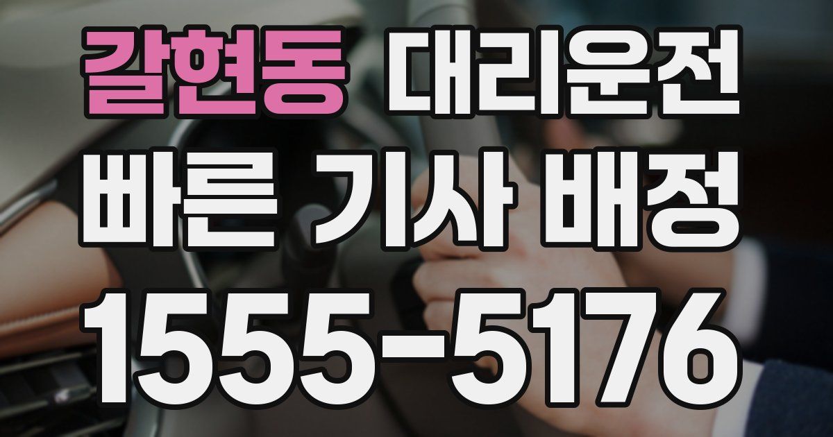 일일대리기사