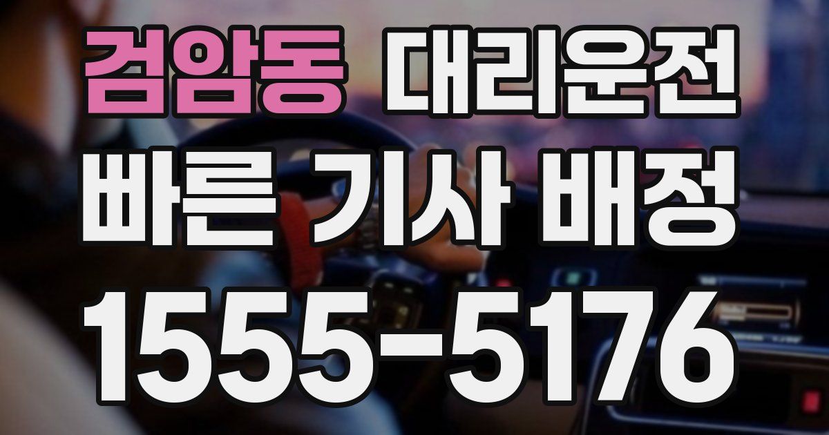 일일대리기사