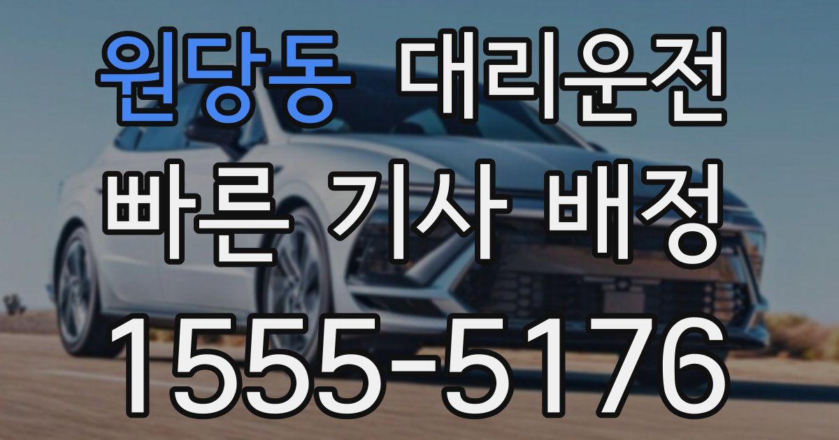 일일대리기사