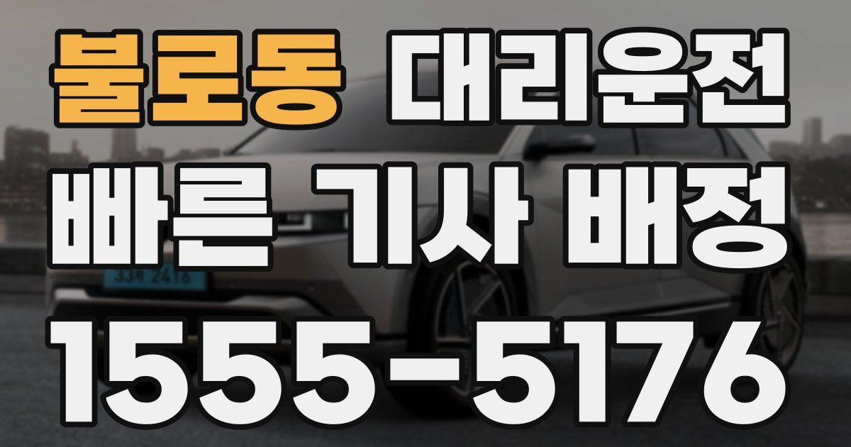 일일대리기사