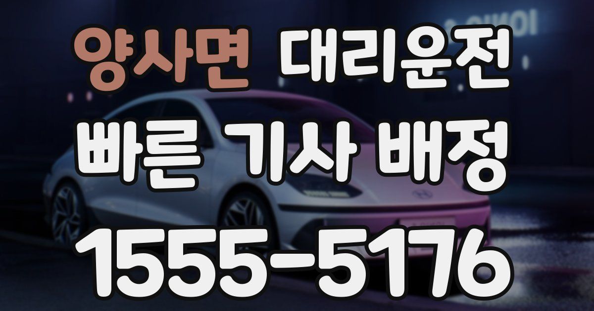일일대리기사