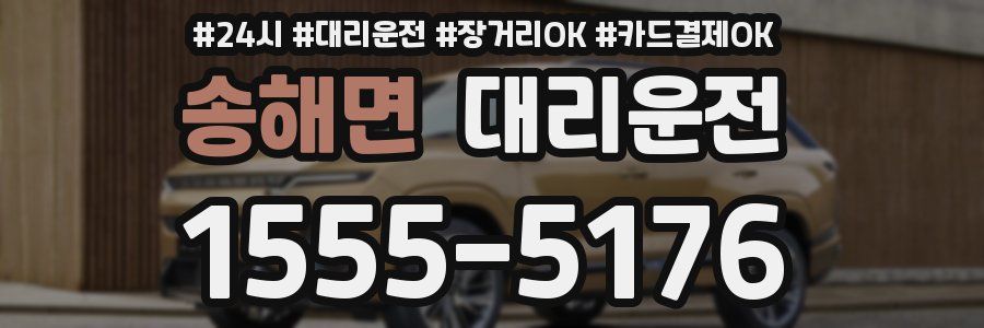 송해면 대리운전