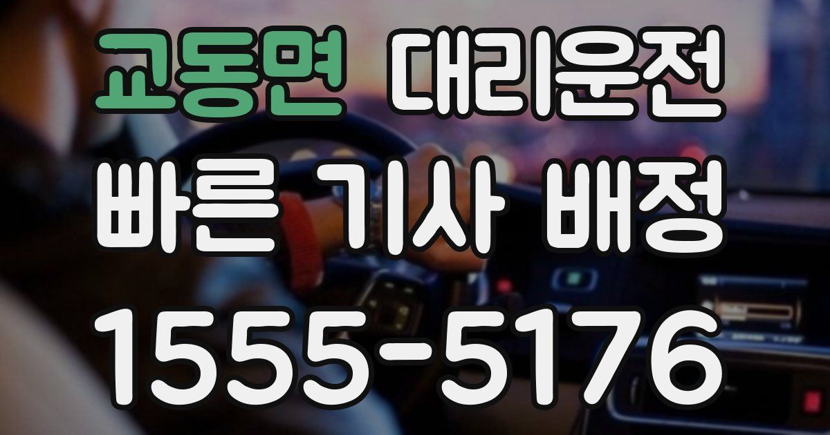 일일대리기사