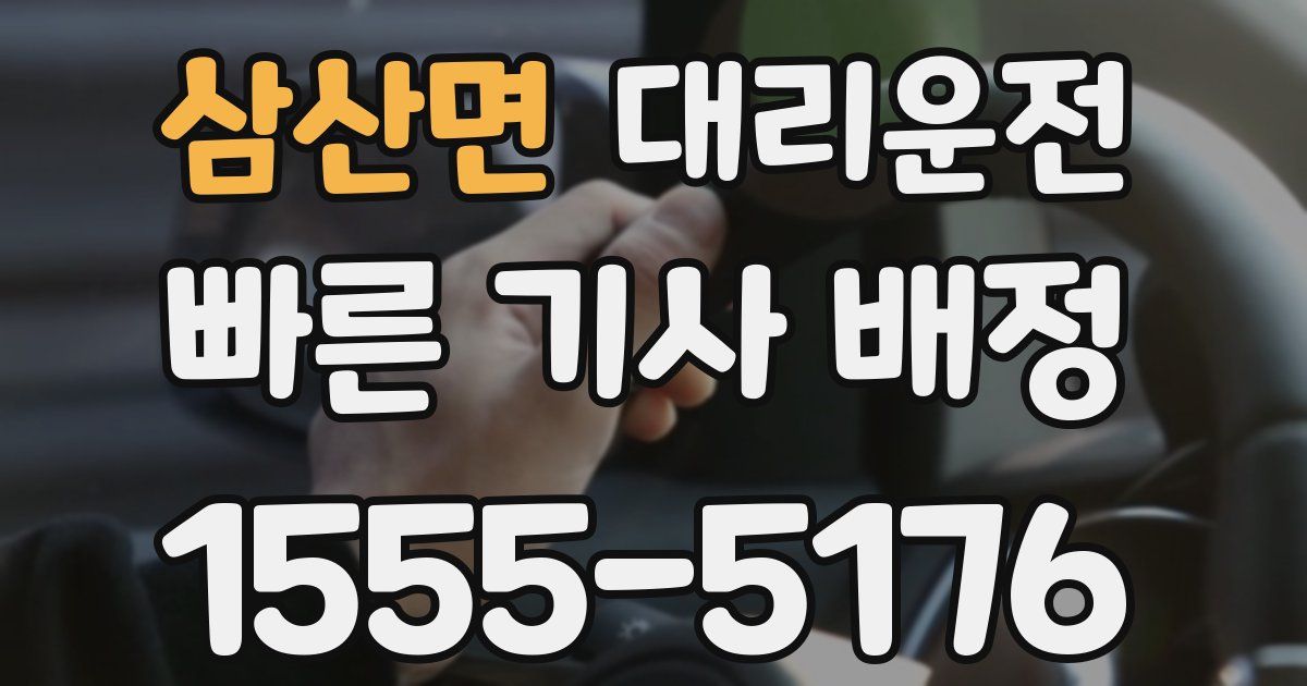 일일대리기사