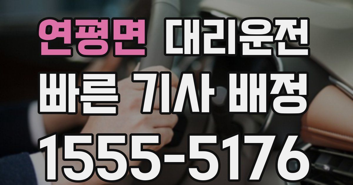 일일대리기사