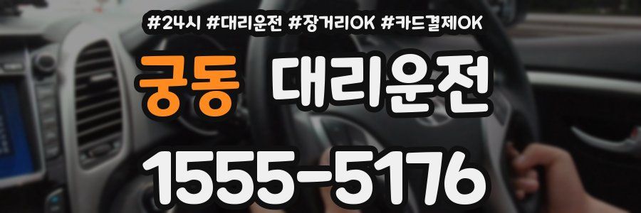 궁동 대리운전