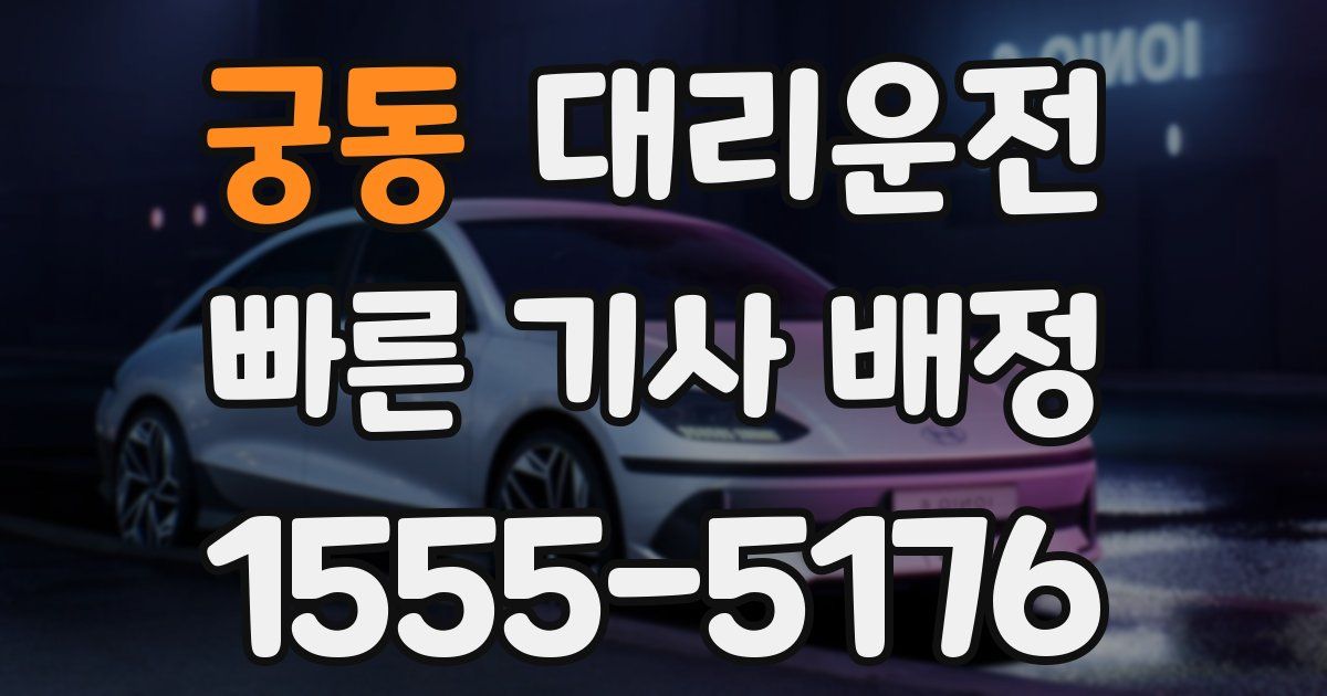 일일대리기사