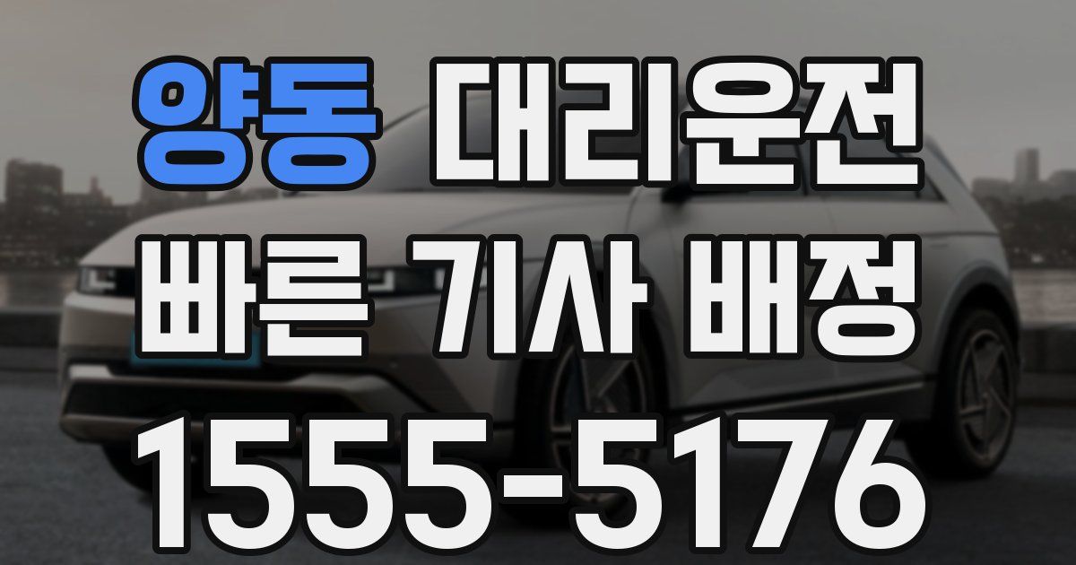 일일대리기사