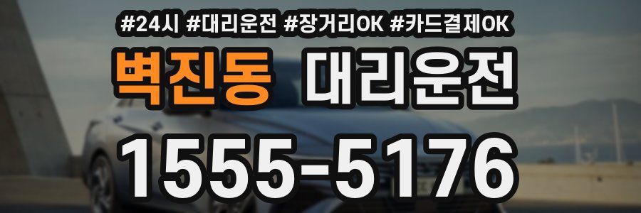 벽진동 대리운전