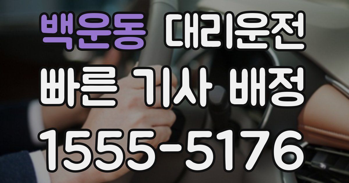 일일대리기사
