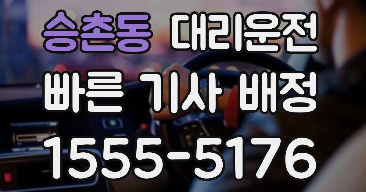 일일대리기사