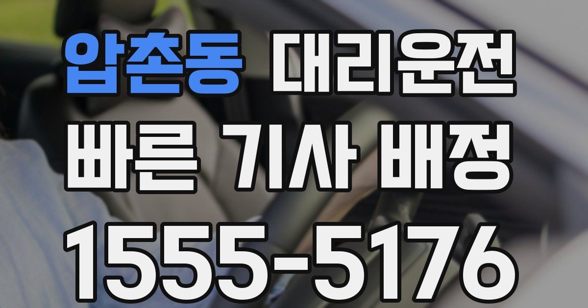 일일대리기사