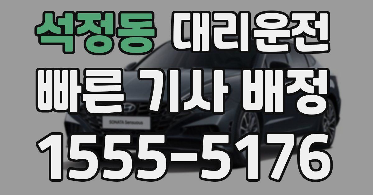 일일대리기사