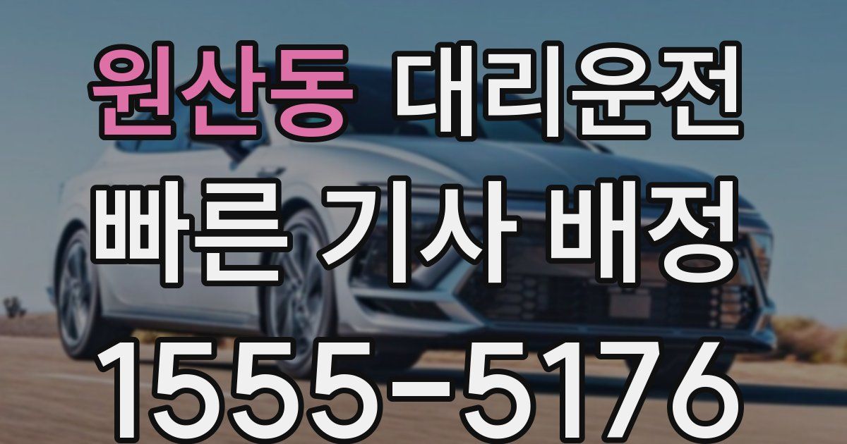 일일대리기사