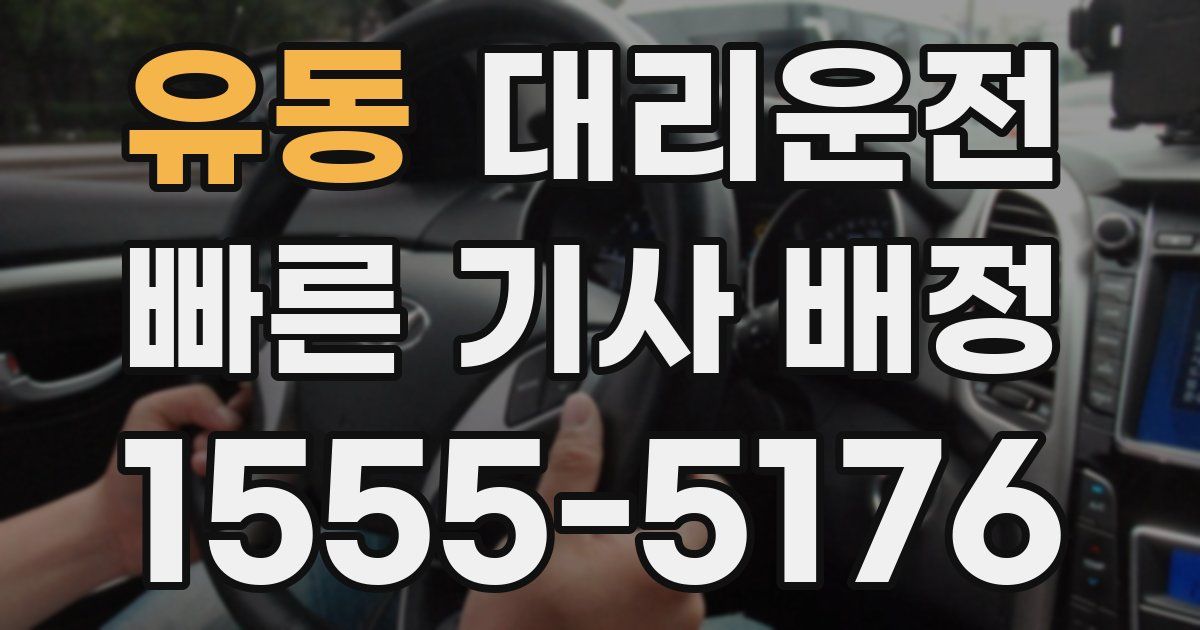 일일대리기사