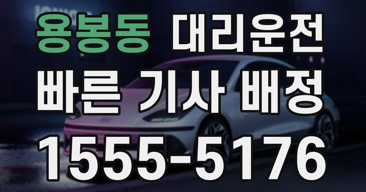 일일대리기사