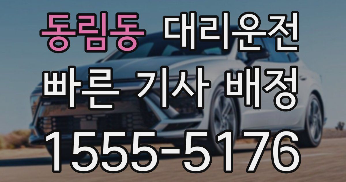 일일대리기사